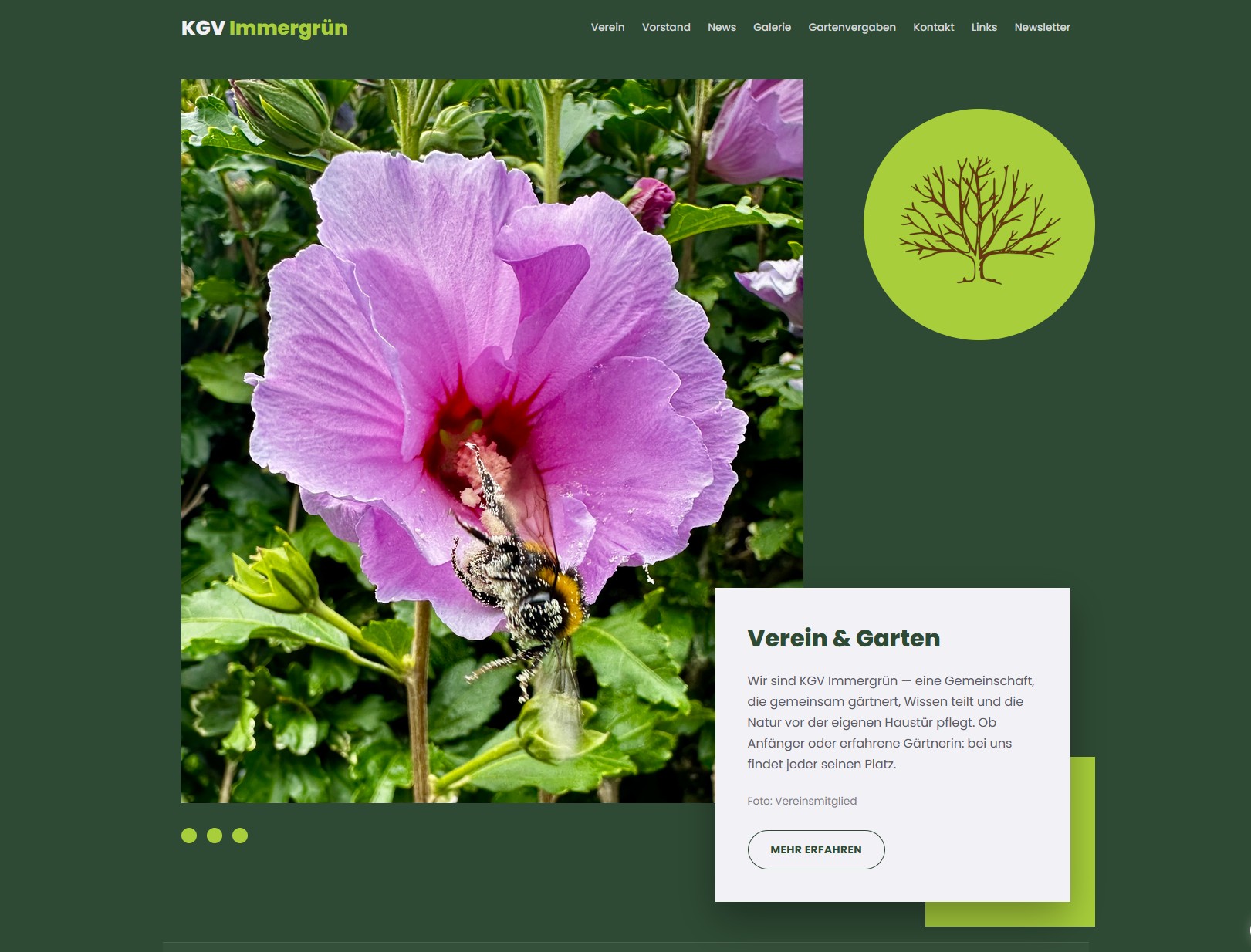 Demo-Seite im Stil einer Vereins-Website mit Bildergalerie