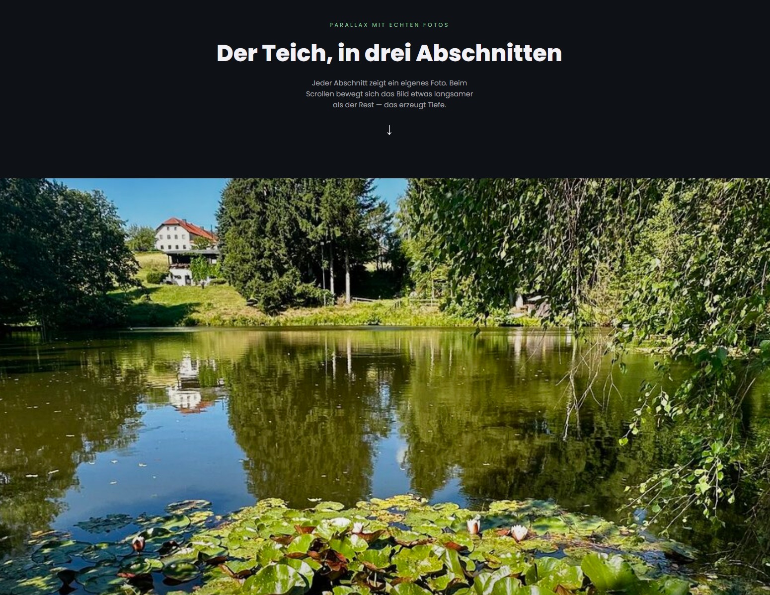 Demo einer Parallax-Scroll-Seite mit Teichfotos